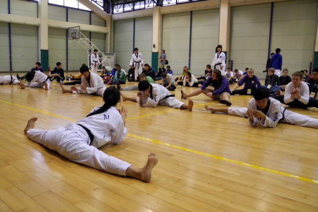 Taekwon-do